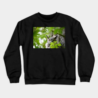 Wisdom of Silence Crewneck Sweatshirt